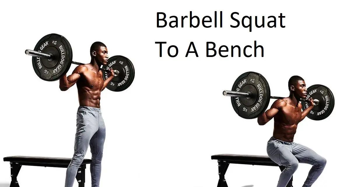 Barbell Squat To A Bench