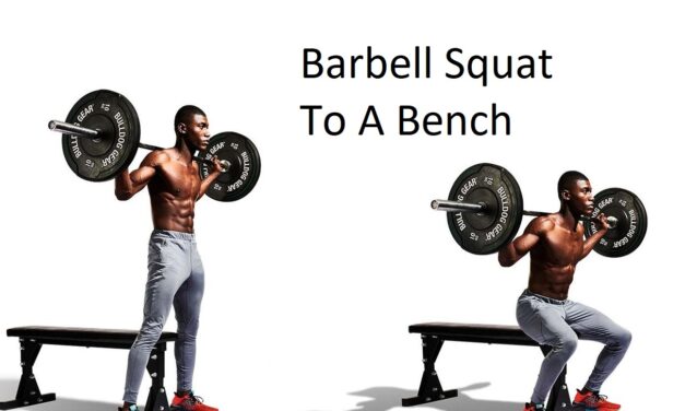 Barbell Squat To A Bench