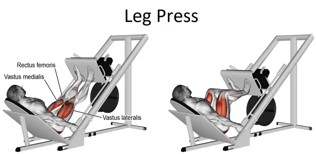 Leg Press