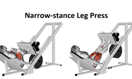 Narrow-stance Leg Press