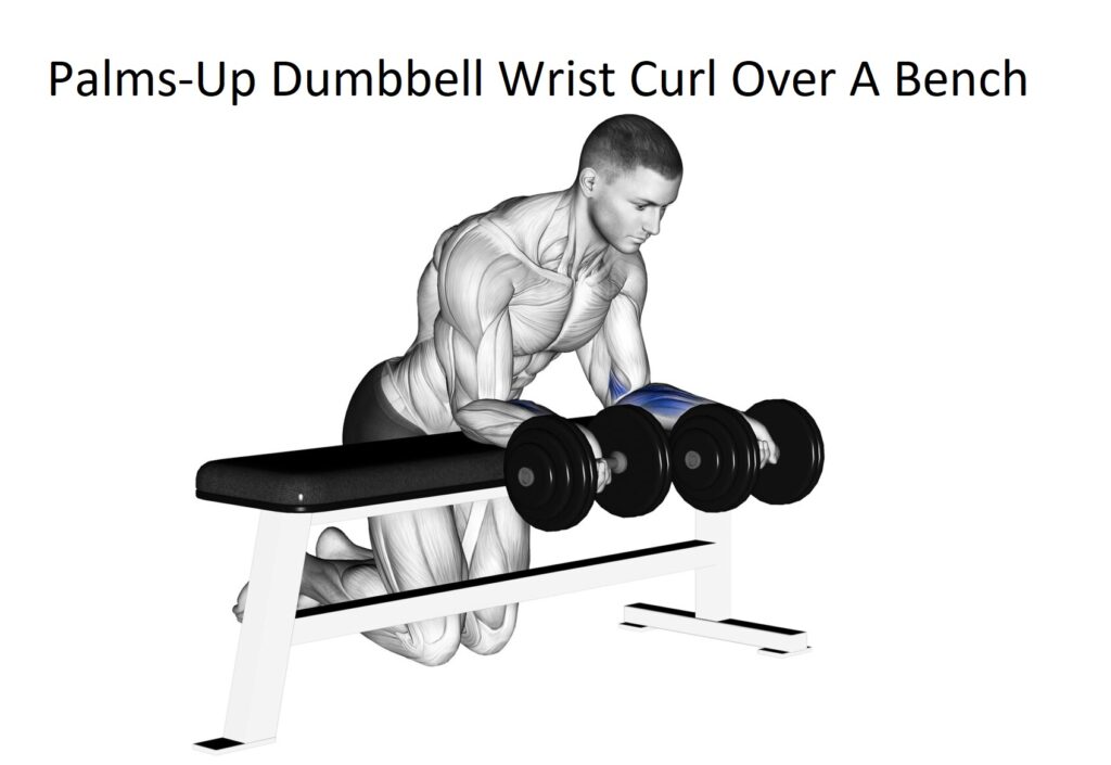 Palms-Up Dumbbell Wrist Curl Over A Bench