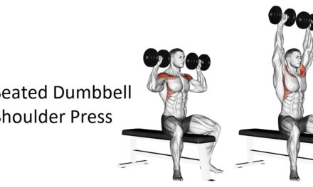 Seated Dumbbell Shoulder Press: Technique, Benefits, Variations, and More Explained