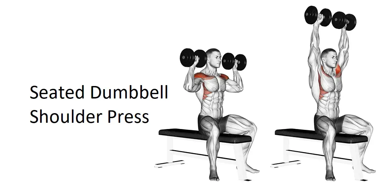 Seated Dumbbell Shoulder Press