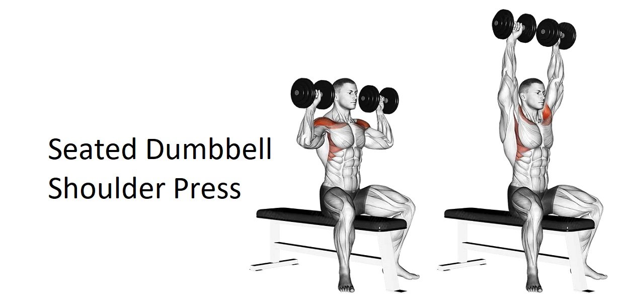 Seated Dumbbell Shoulder Press Overhead Dumbbell Press ZVEPM Seated Dumbbell Shoulder Press Overhead Dumbbell Press ZVEPM