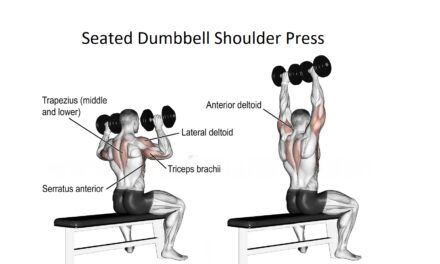 Seated Dumbbell Shoulder Press