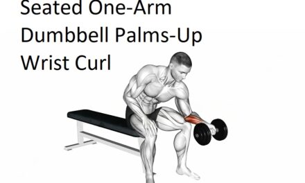 Seated One-Arm Dumbbell Palms-Up Wrist Curl