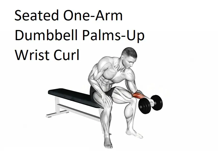 Seated One-Arm Dumbbell Palms-Up Wrist Curl