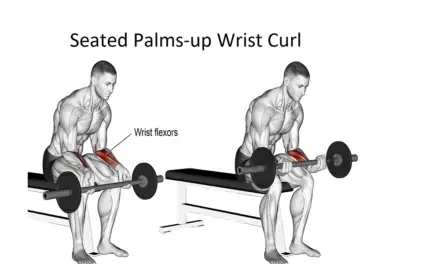Seated Palms-up Wrist Curl