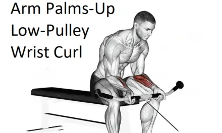 Seated Two-Arm Palms-Up Low-Pulley Wrist Curl