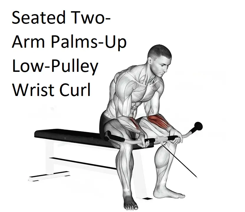 Seated Two-Arm Palms-Up Low-Pulley Wrist Curl