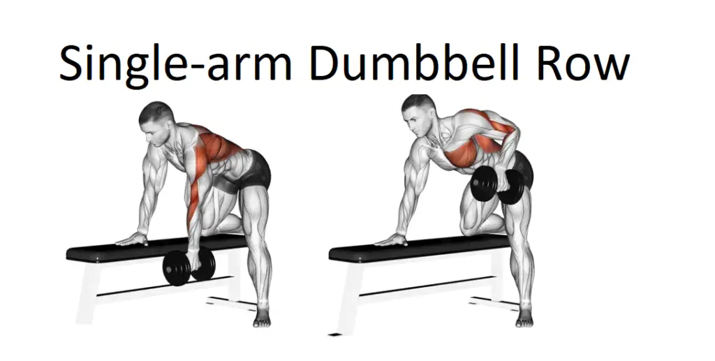 Single-arm Dumbbell Row