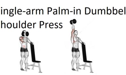 Single-arm Palm-in Dumbbell Shoulder Press
