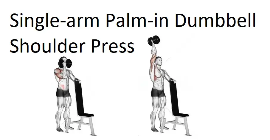 Single-arm Palm-in Dumbbell Shoulder Press