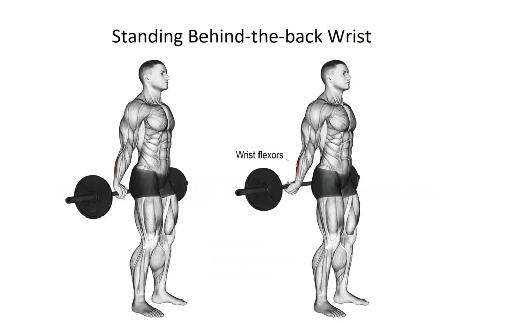 Standing Behind-the-back Wrist Curl