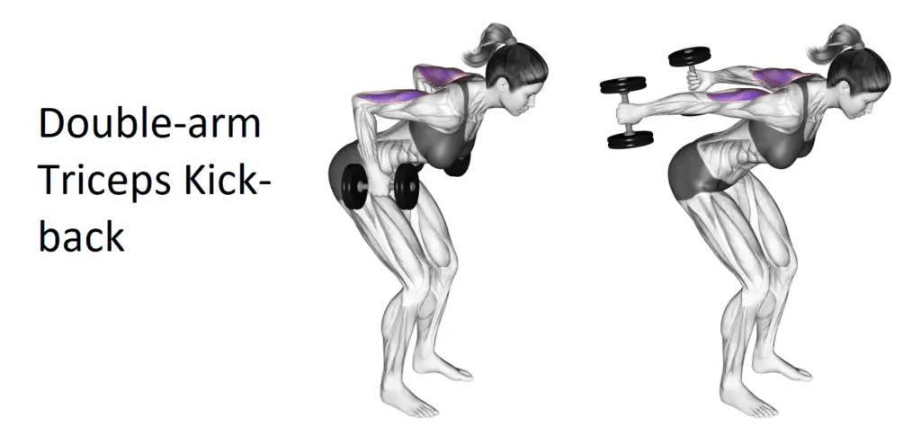 Double-arm Triceps Kick-back