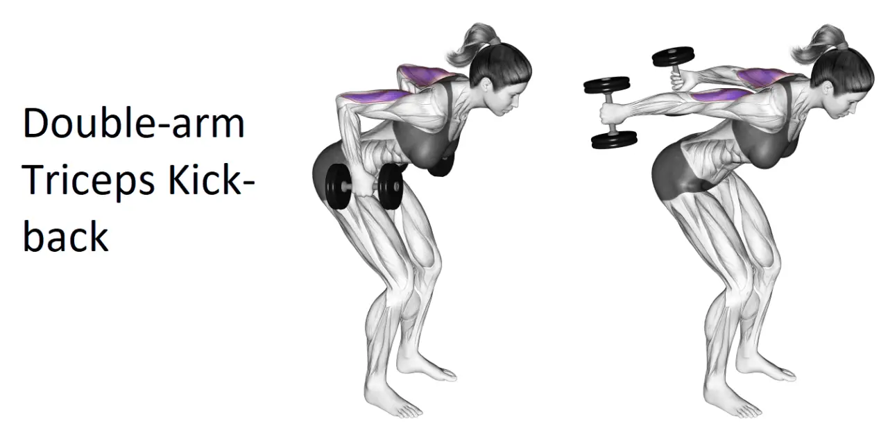Double-arm Triceps Kick-back