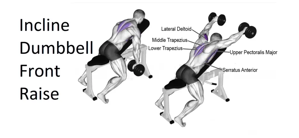 Incline Dumbbell Front Raise