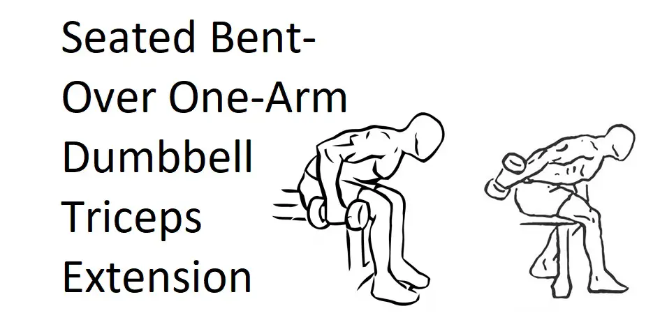 Seated Bent-Over One-Arm Dumbbell Triceps Extension