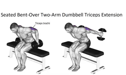 Seated Bent-Over Two-Arm Dumbbell Triceps Extension