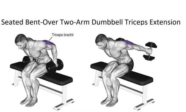 Seated Bent-Over Two-Arm Dumbbell Triceps Extension