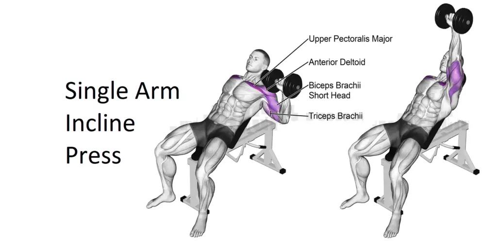 Single Arm Incline Press