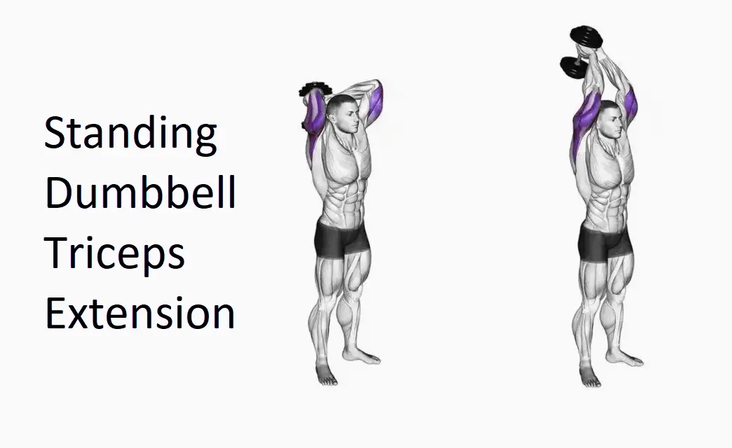 Standing Dumbbell Triceps Extension