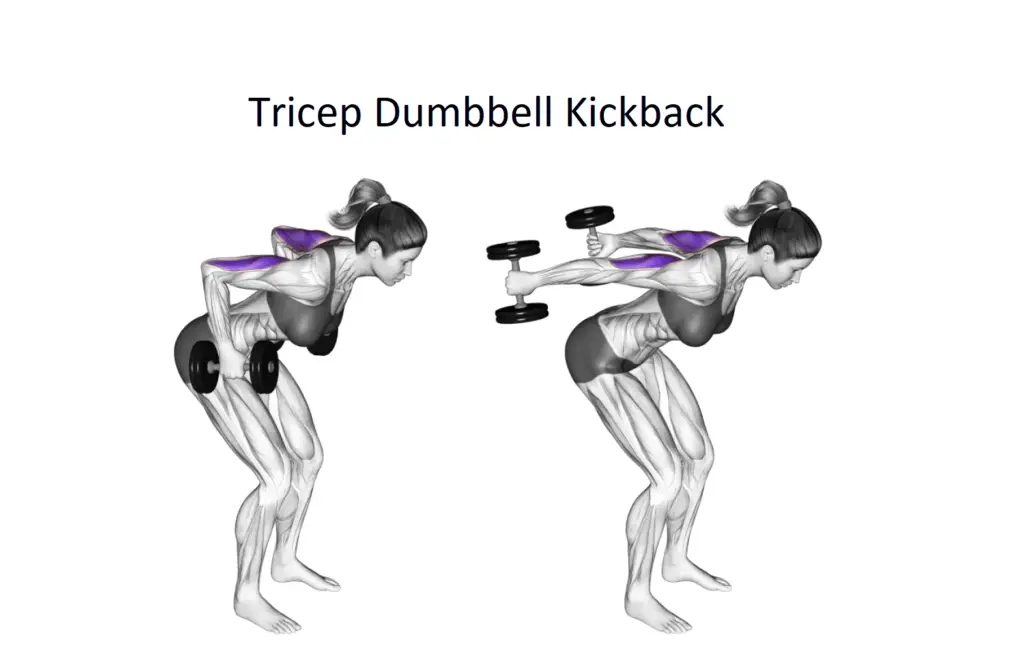 Tricep Dumbbell Kickback