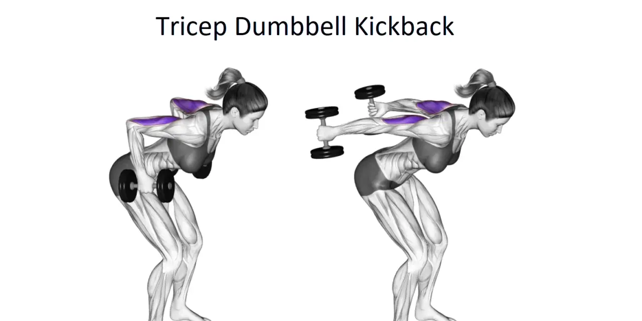 Tricep Dumbbell Kickback