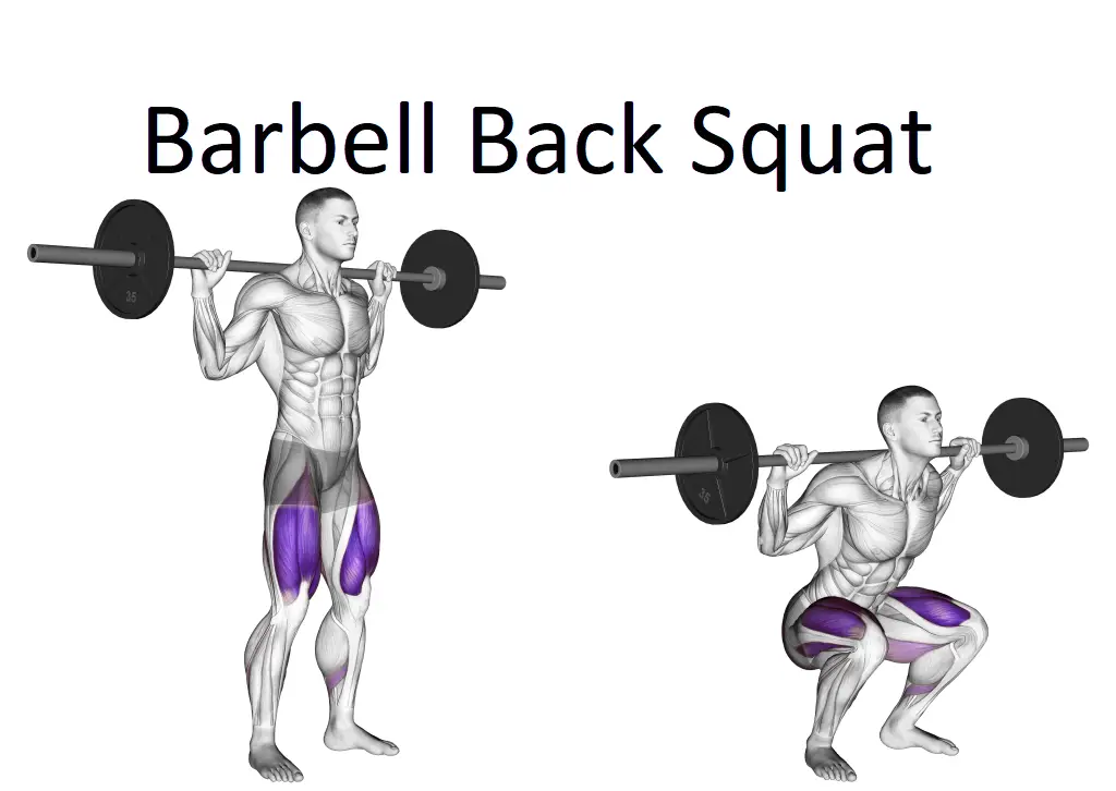 Barbell Back Squat