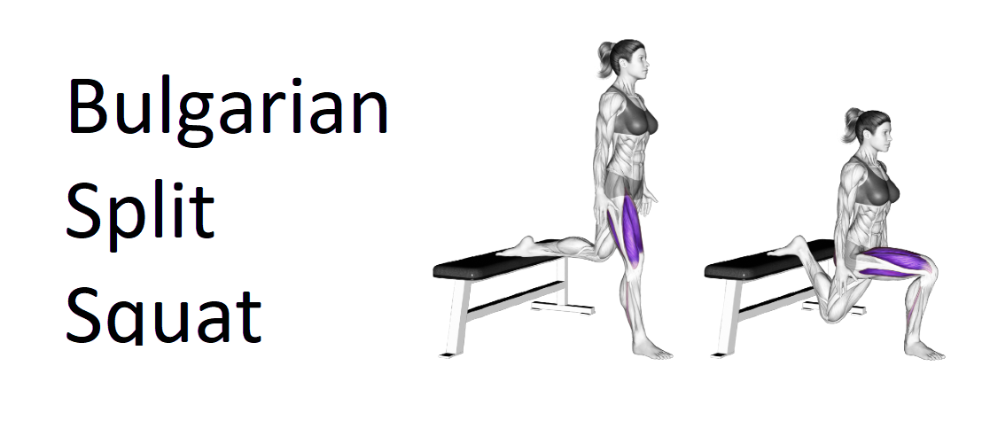 Bulgarian Split Squat Guide To Technique Benefits