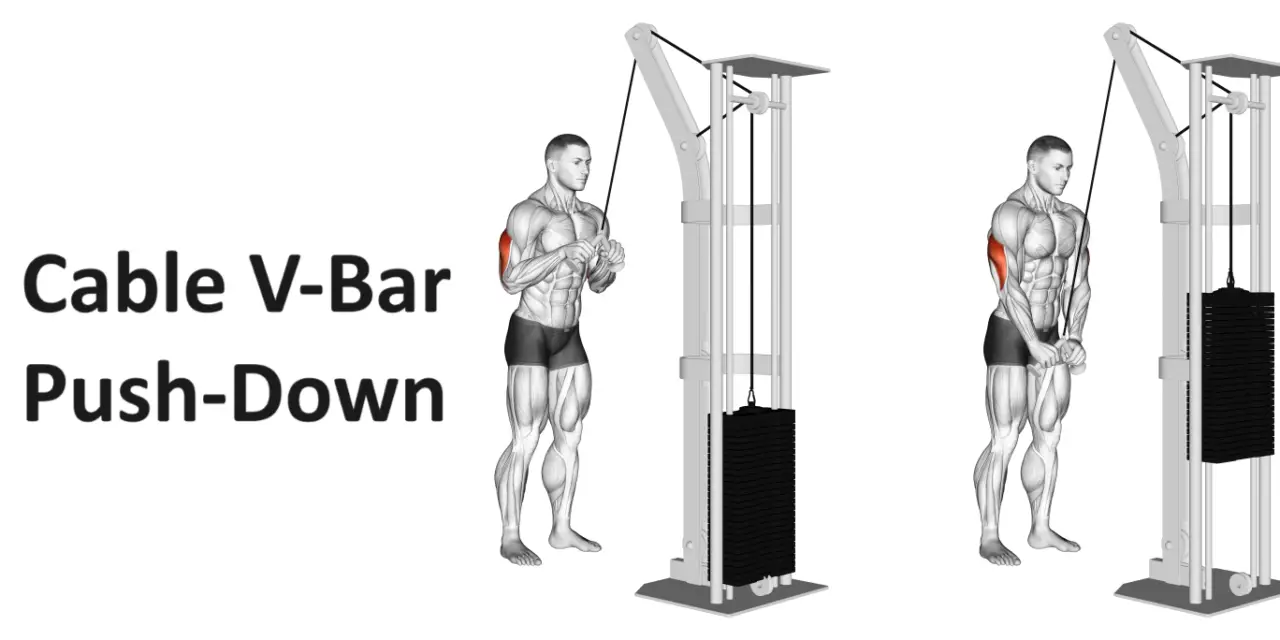 Cable V-Bar Push-Down: Introduction, Instruction, Benefits, and Alternatives