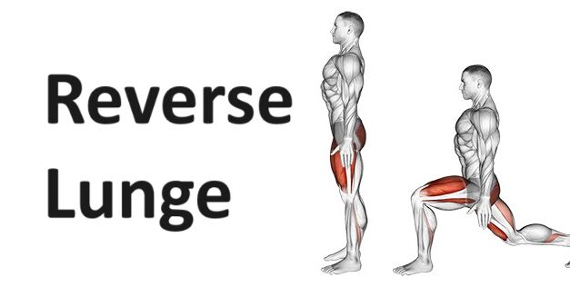 Reverse Lunge: Technique, Benefits, and Alternatives for Lower Body Strengthening