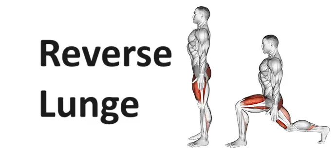 Reverse Lunge: Technique, Benefits, and Alternatives for Lower Body Strengthening