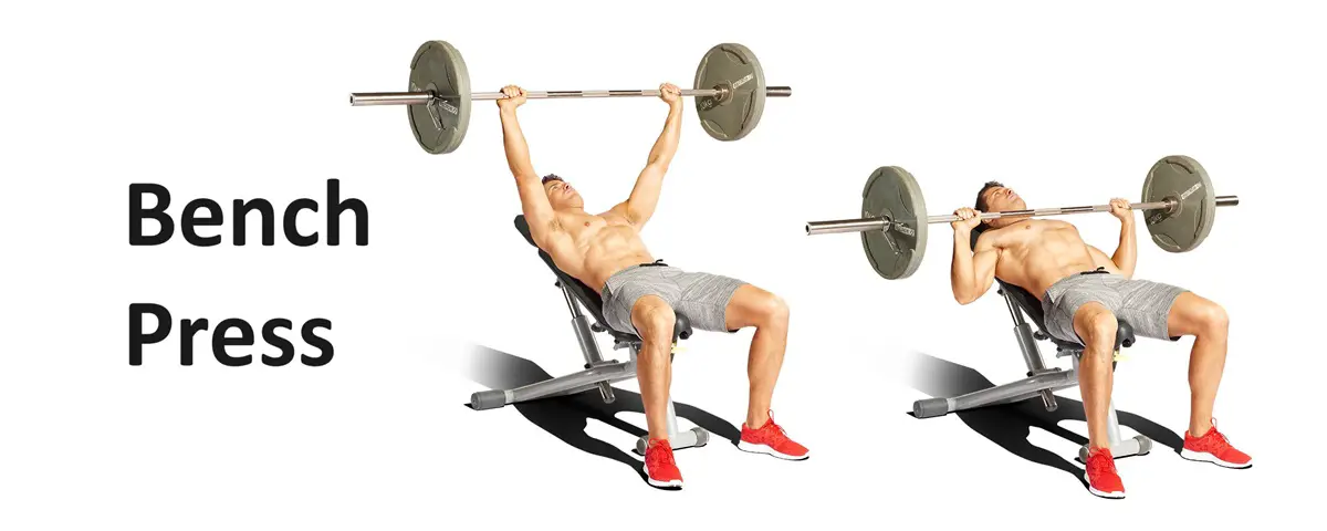 Bench Press: Technique, Benefits, and Alternatives for Upper Body Strengthening