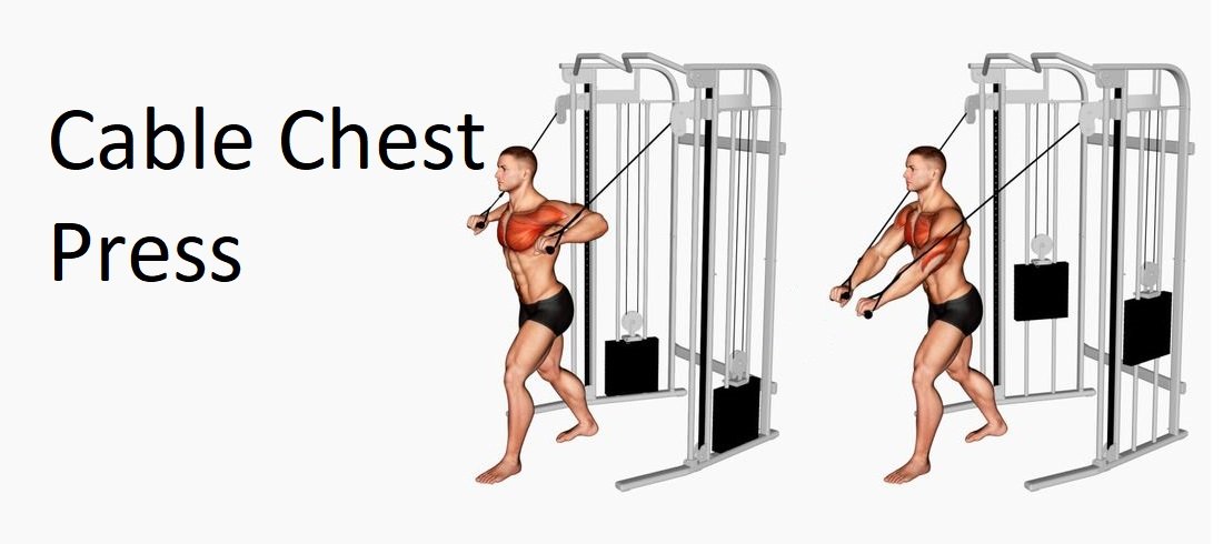 Cable Chest Press Technique Benefits And Alternatives For Upper Body 