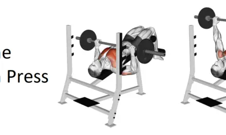 Decline Bench Press: Technique, Benefits, and Alternatives for Upper Body Strengthening