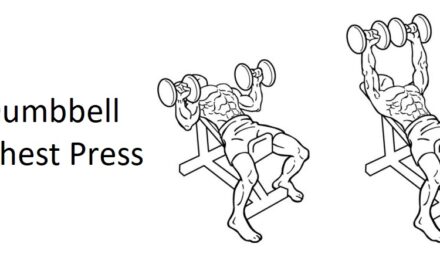 Dumbbell Chest Press: Technique, Benefits, and Alternatives for Upper Body Strength