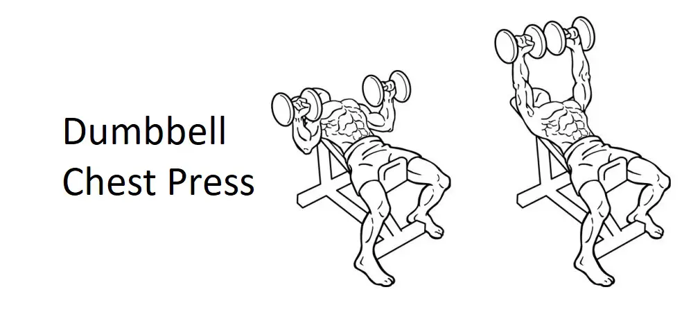 Dumbbell Chest Press: Technique, Benefits, and Alternatives for Upper Body Strength
