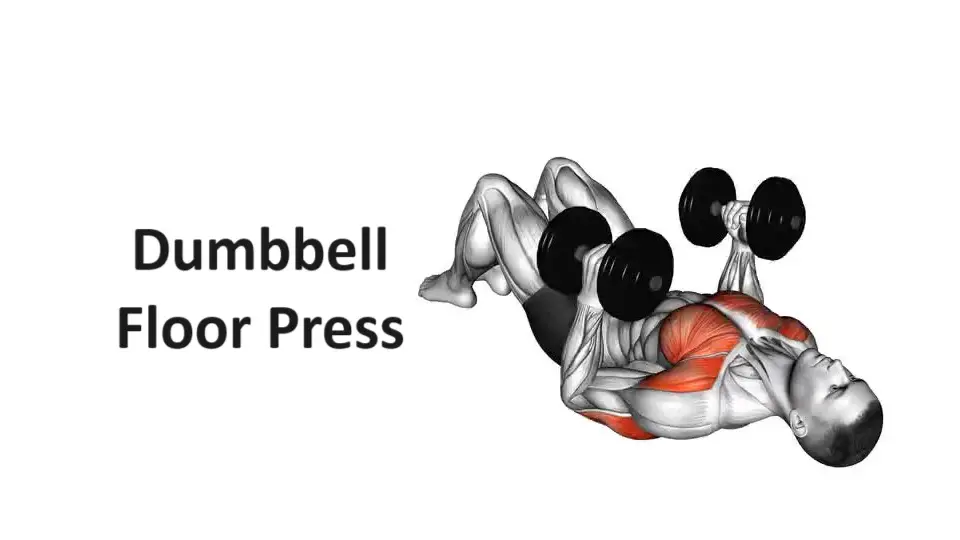 Dumbbell Floor Press: A Comprehensive Guide to Technique, Benefits, and Alternatives for Upper Body Strength