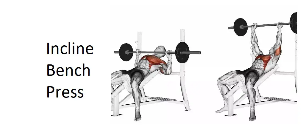 Incline Bench Press: A Comprehensive Guide to Technique, Benefits, Alternatives, and More for Upper Body Strength
