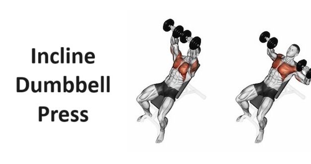 Incline Dumbbell Press: A Comprehensive Guide to Technique, Benefits, Alternatives, and More for Upper Body Strength