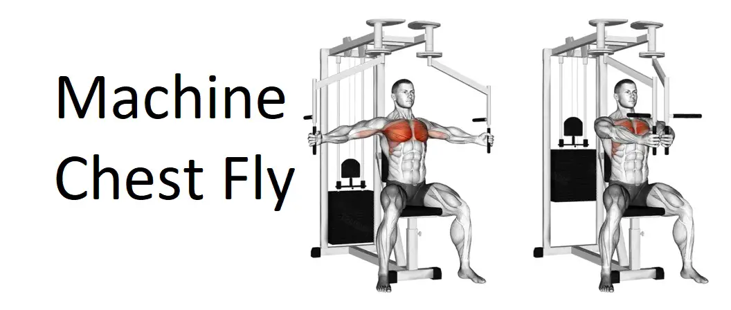 Machine Chest Fly: A Complete Guide to Technique, Benefits, Alternatives, and More for Chest Development