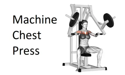 Machine Chest Press: A Comprehensive Guide to Technique, Benefits, Alternatives, and More for Chest Development