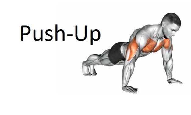 Push-Up: A Complete Guide to Technique, Benefits, Alternatives, and More for Upper Body Strength