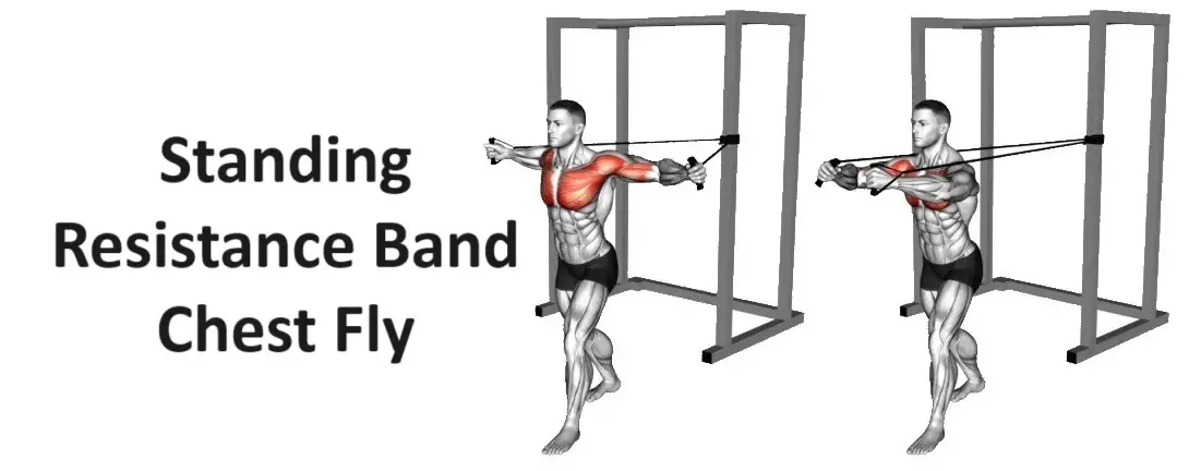Standing Resistance Band Chest Fly