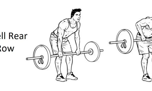 Barbell Rear Delt Row: A Comprehensive Guide to Technique, Benefits, Alternatives, and More