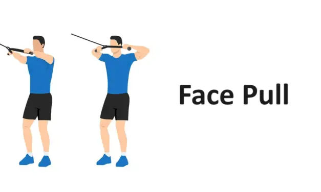 Face Pull: Technique, Benefits, Alternatives, and More Explained
