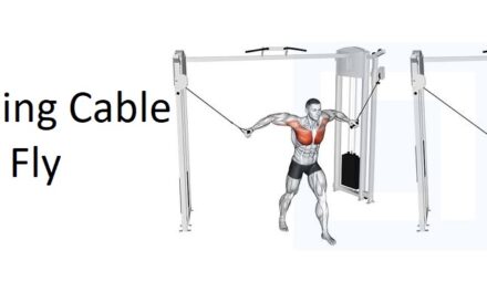 Standing Cable Chest Fly: A Complete Guide to Technique, Benefits, Alternatives, and More for Chest Development