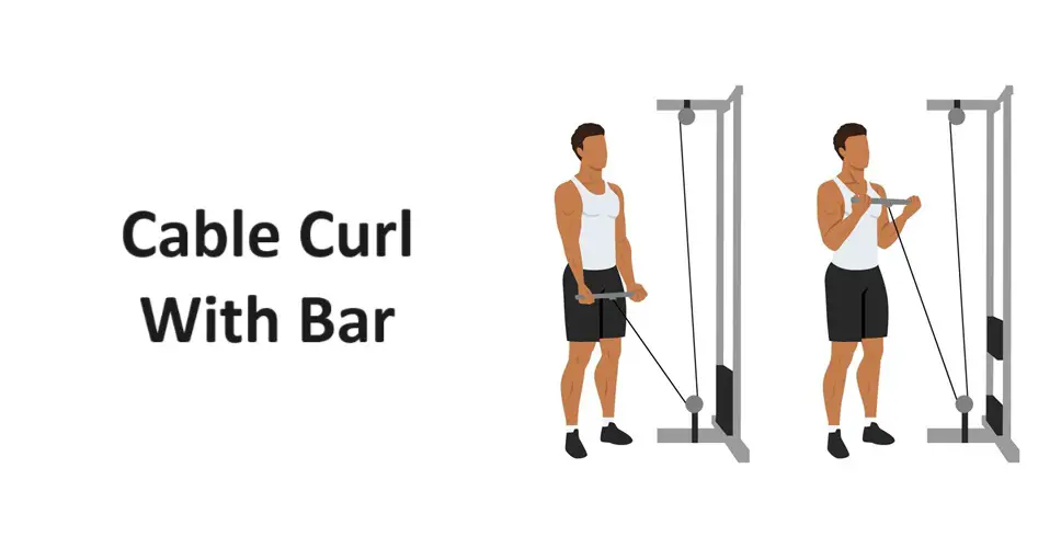 Cable Curl With Bar