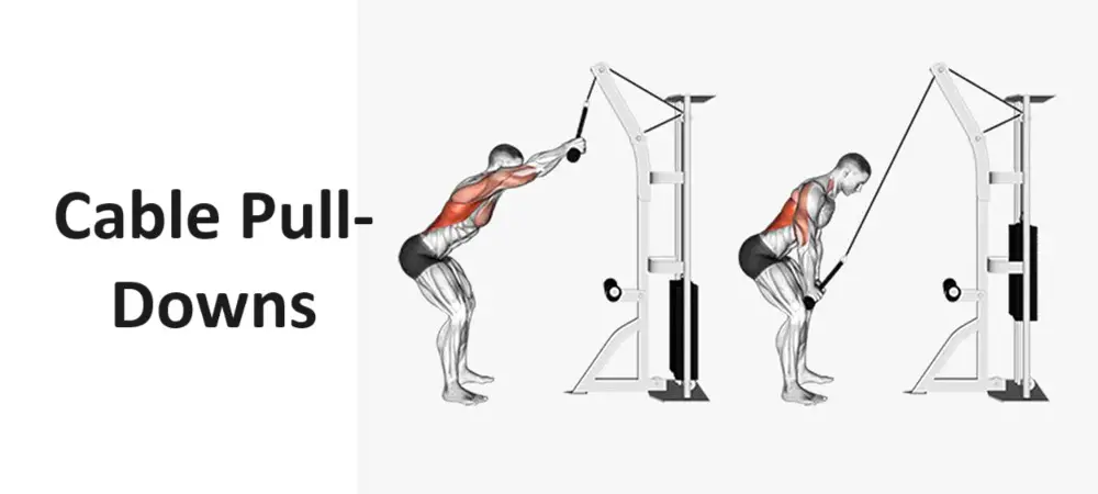 Cable Pull-Downs: Technique, Benefits, Variations, and More Explained